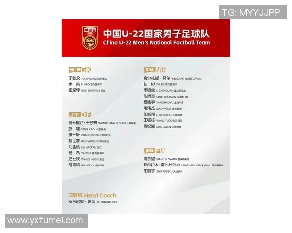 中国足球十大球星排行榜揭晓 哪些球员入选引关注