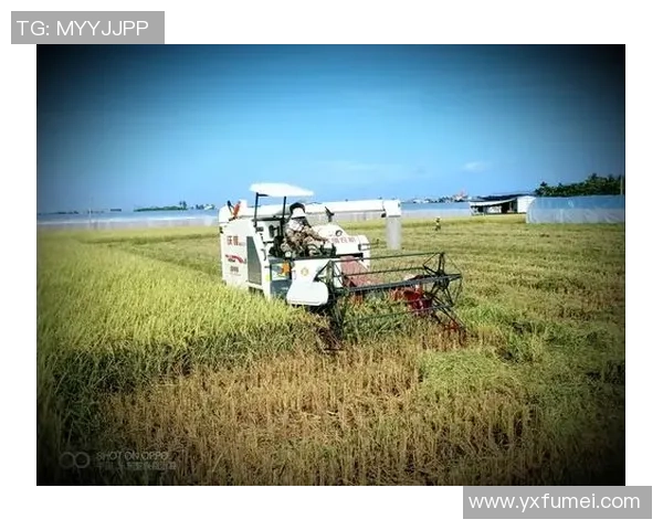 日本足球历代球星的辉煌足迹与时代变迁的深刻影响 日本足球历代球星的辉煌足迹与时代变迁的深刻影响