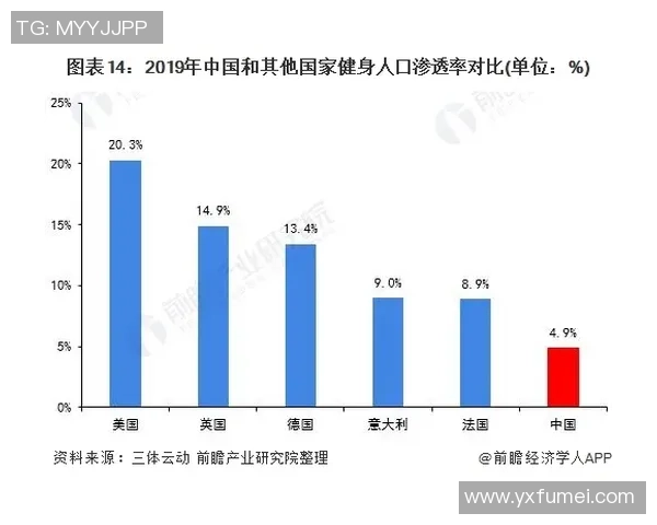 深度探索toop足球球星卡收藏价值与未来市场发展趋势分析